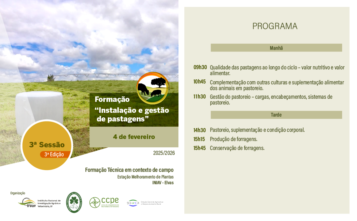 3ª sessão IGP 3ªEd