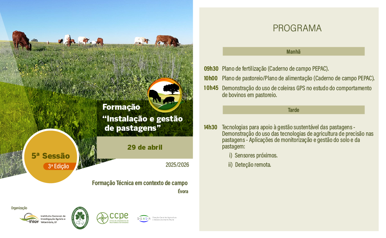 5ª sessão IGP 5ªEd